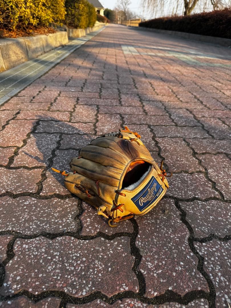 Rawlings 硬式グローブ ウィザード