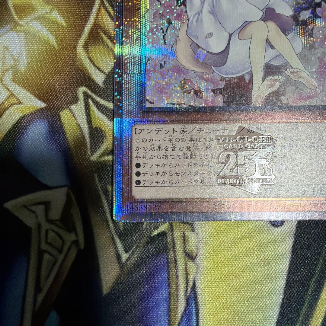 遊戯王 灰流うらら 25th 絵違い