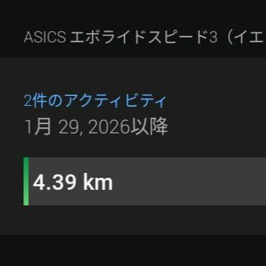 【美品】ASICS EvoRide Speed 3 26.0cm 2E