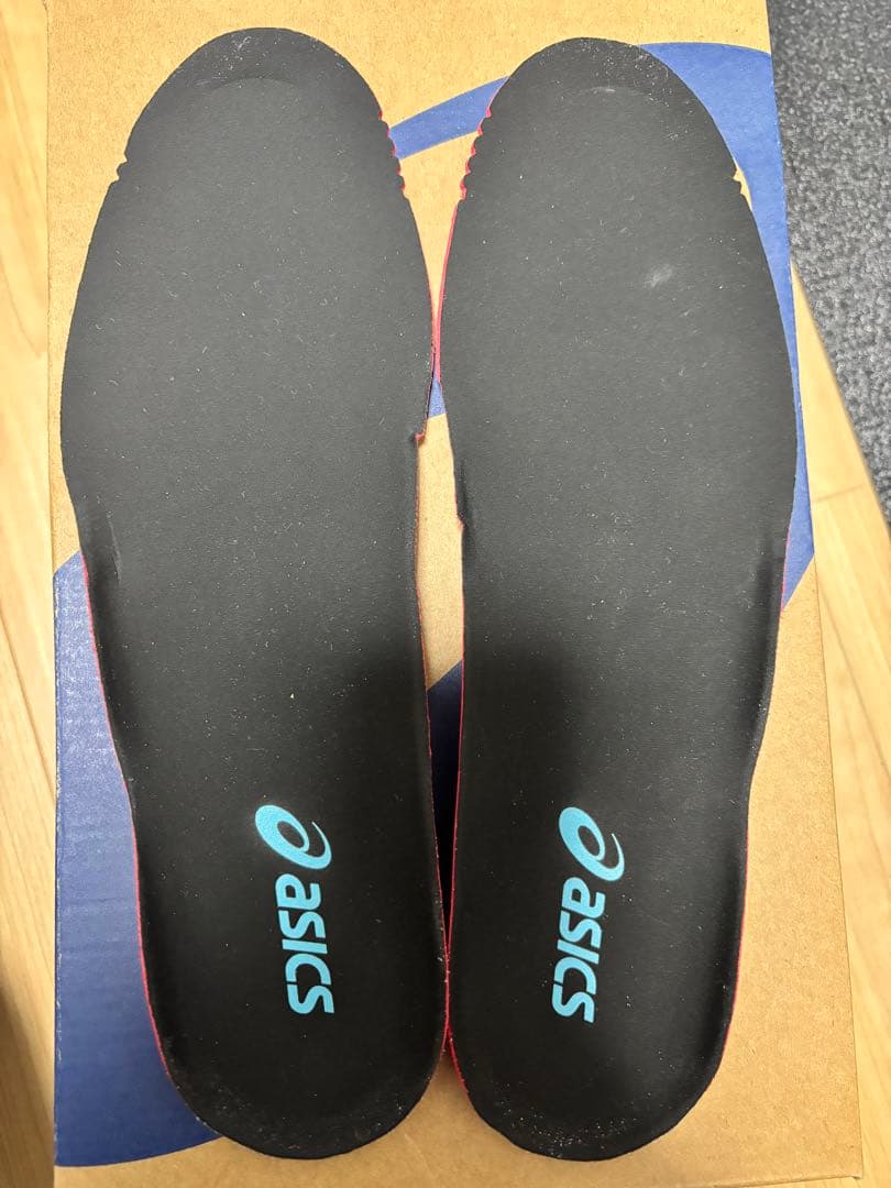 【美品】asics DS LIGHT PRO NARROW 27.0cm