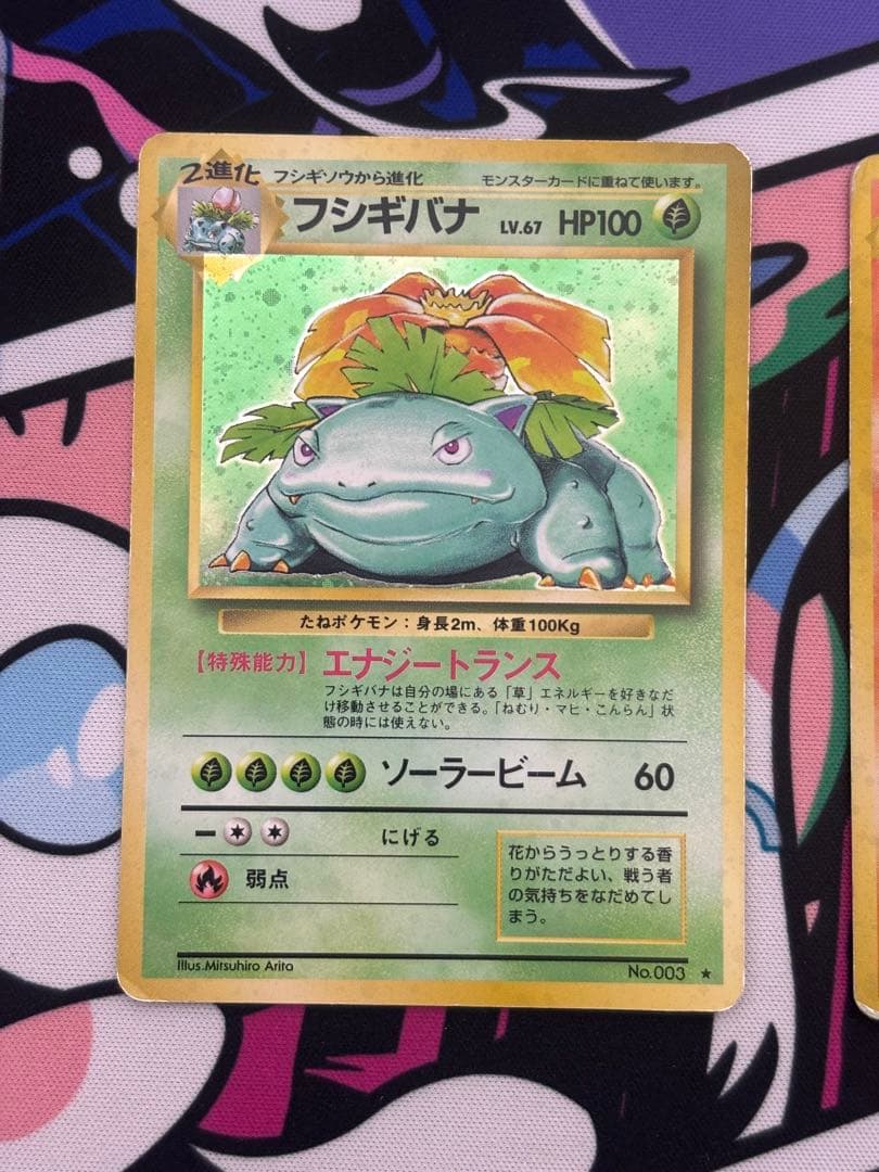 y*n様 ポケモンカード旧裏セットフシギバナ リザードン カメックス