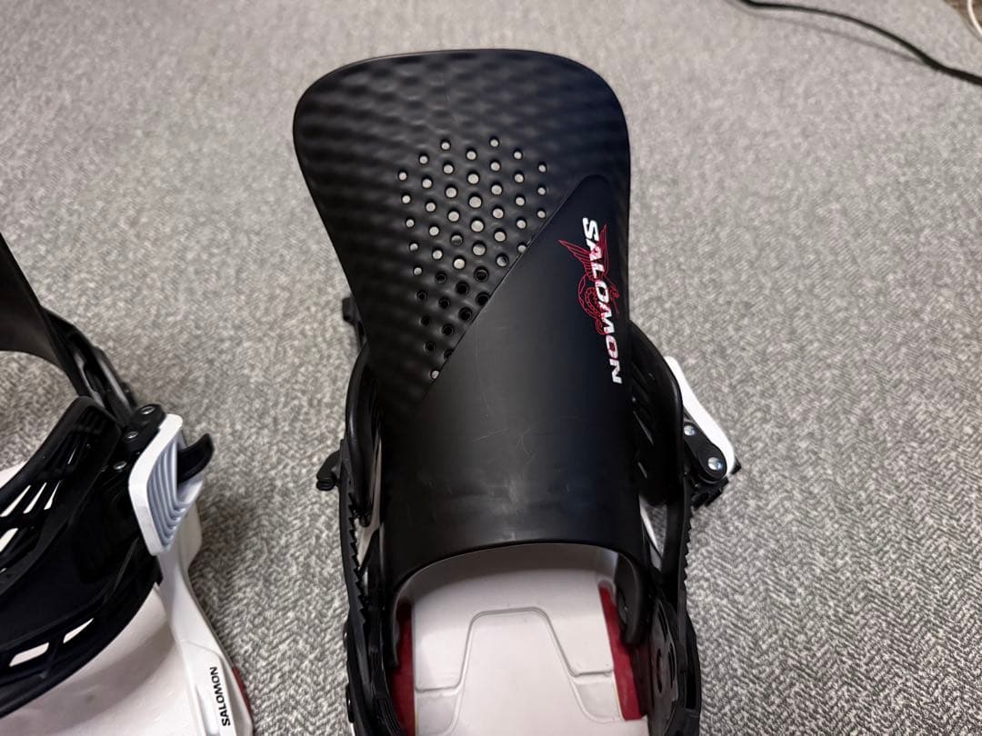 SALOMON ホログラム　HOLOGRAM DUSTY 日本正規品 限定