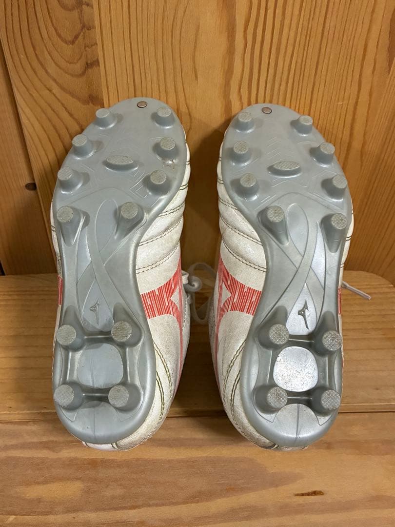 asics DSライト MIZUNO モナルシーダ19cm シダスインソール