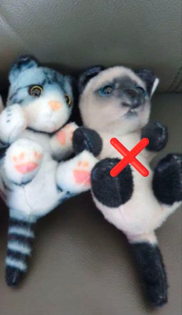 リアル猫 リアルアニマル猫つまんでマスコットBC 猫ぬいぐるみ　２個　セット