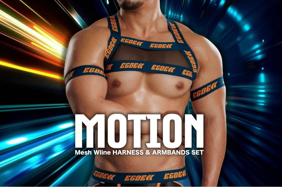 【即購入ok!!】『MOTION』ハーネス＆アームバンドset