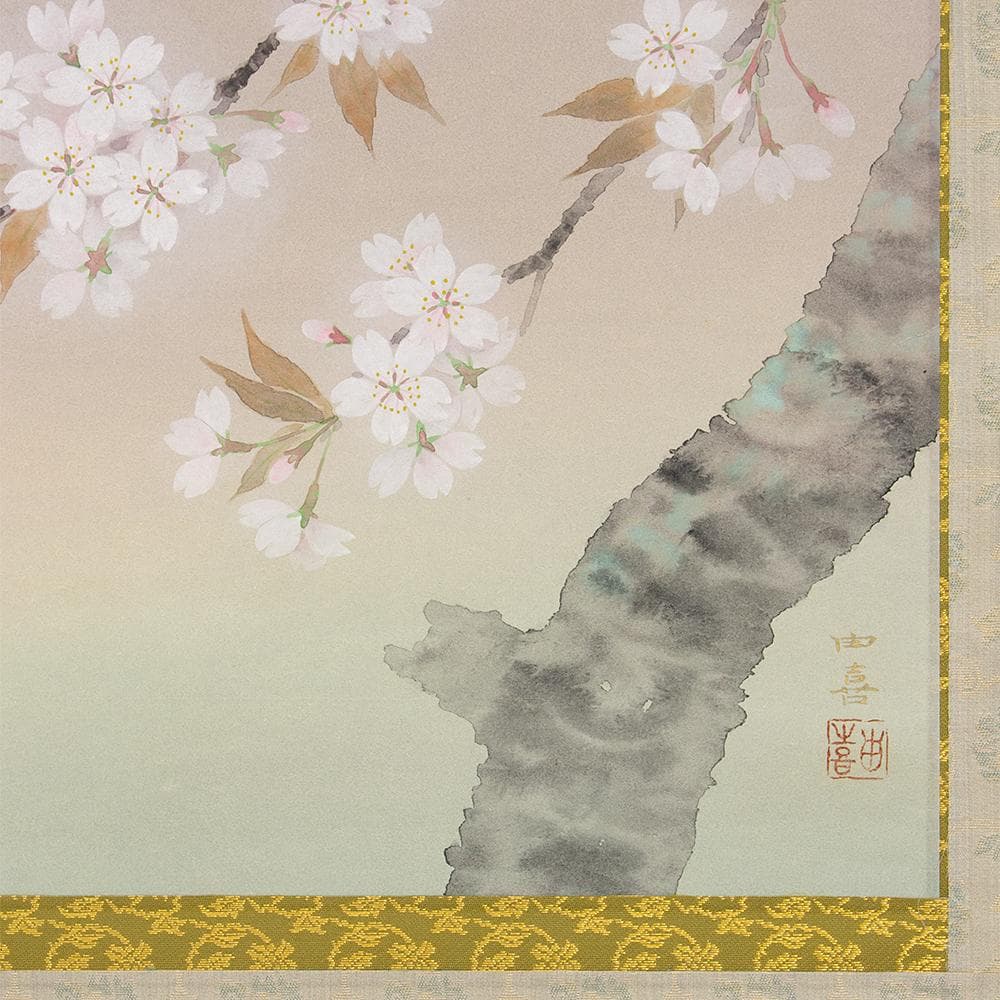 ※Tsutsuzi Sato　掛軸 横幅 水越由喜「桜」共箱