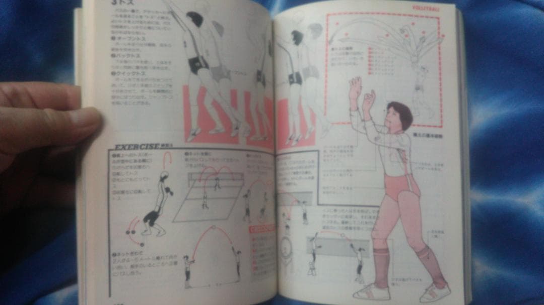 ビジュアルスポーツ　バレー　バスケ　体操　2000　カラー写真部分あり　未使用