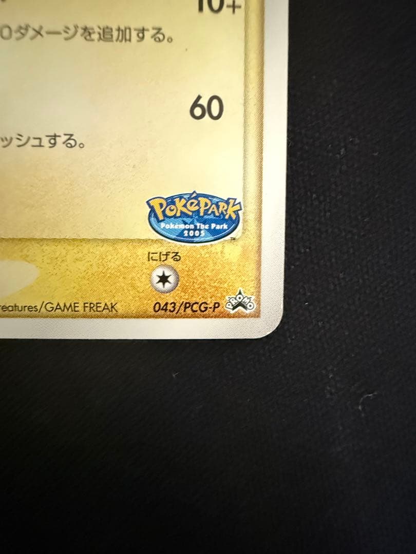 ポケパークのピカチュウ レックウザ