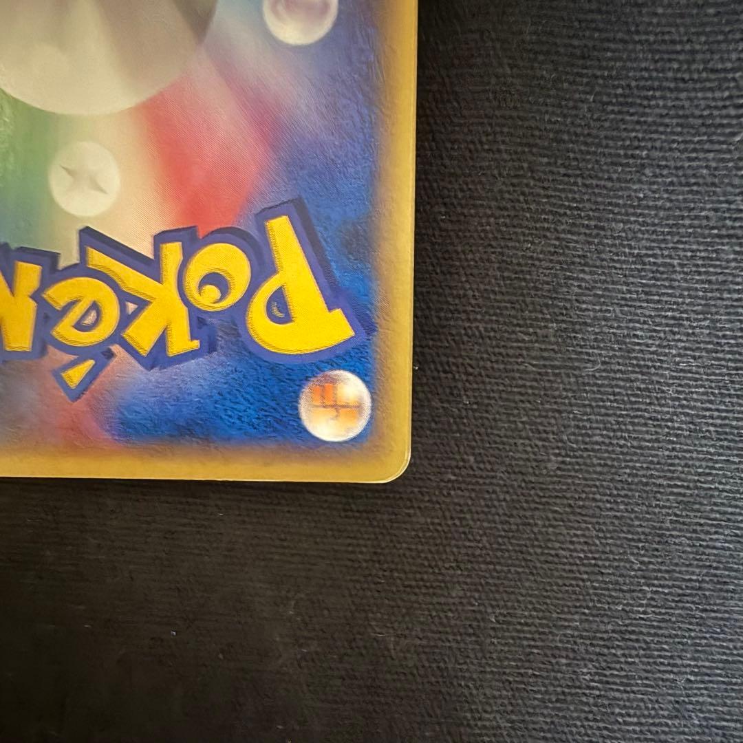 ポケパークのピカチュウ レックウザ