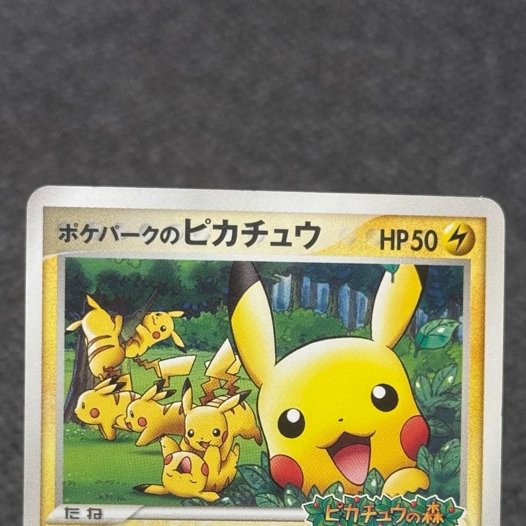 ポケパークのピカチュウ レックウザ