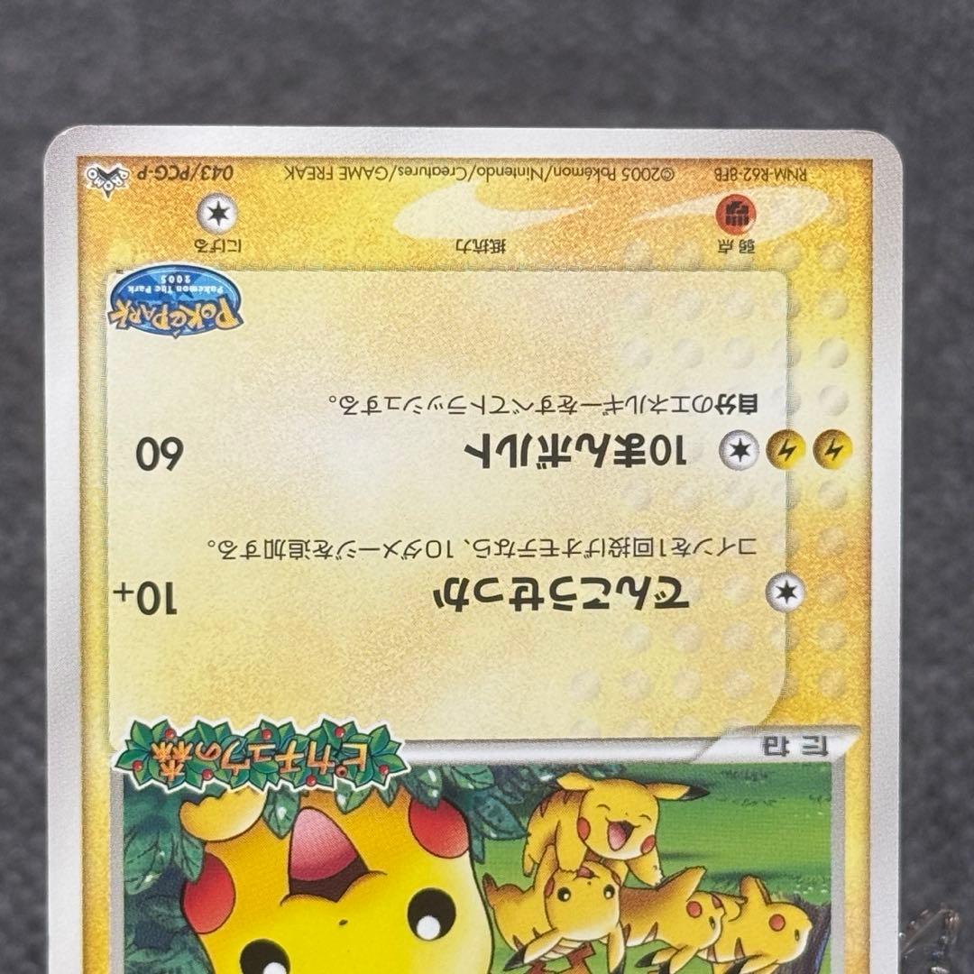 ポケパークのピカチュウ レックウザ