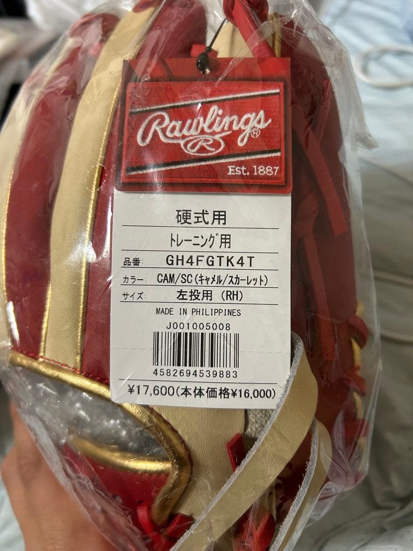 Rawlings 硬式用 トレーニング用 グラブ 左投げ用