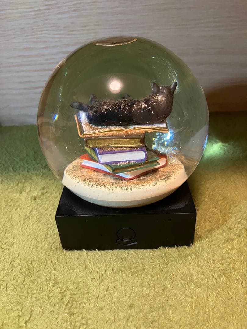 COOLGLOBES スノードーム Cat on Book 気泡あり