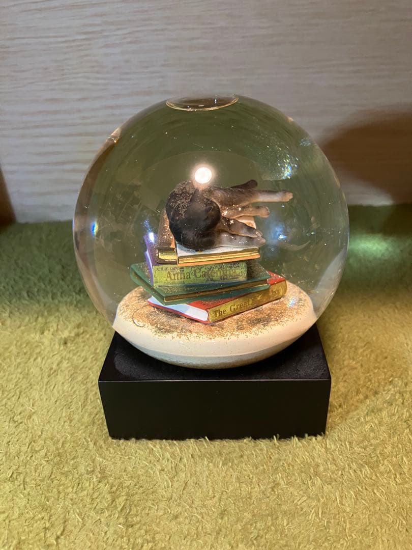 COOLGLOBES スノードーム Cat on Book 気泡あり