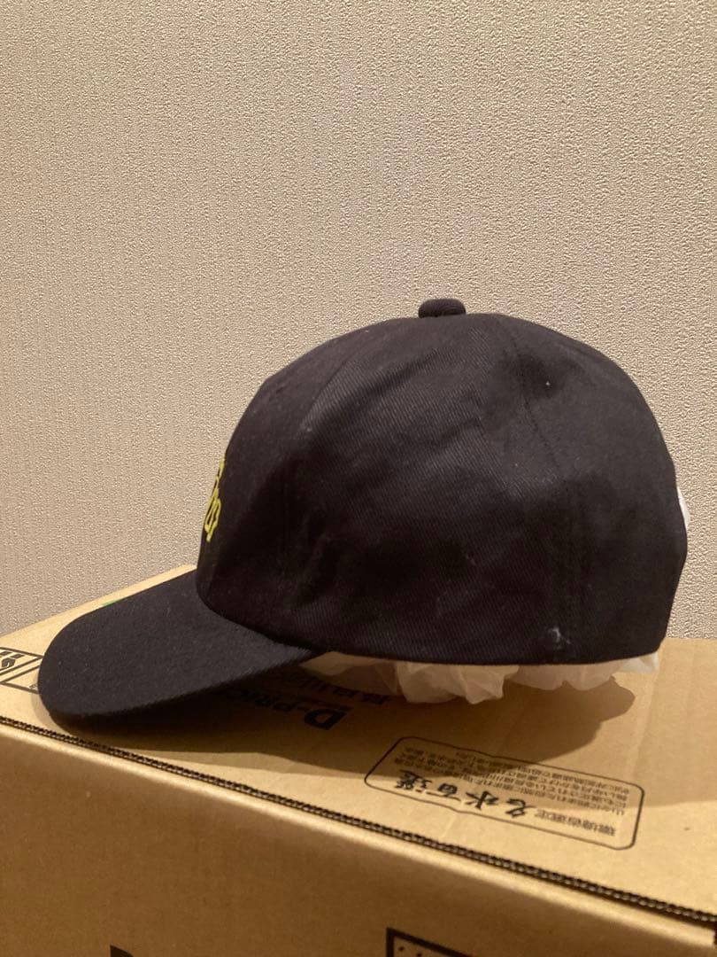 激レア　The Hit キャップ　サンテレビ　fishing