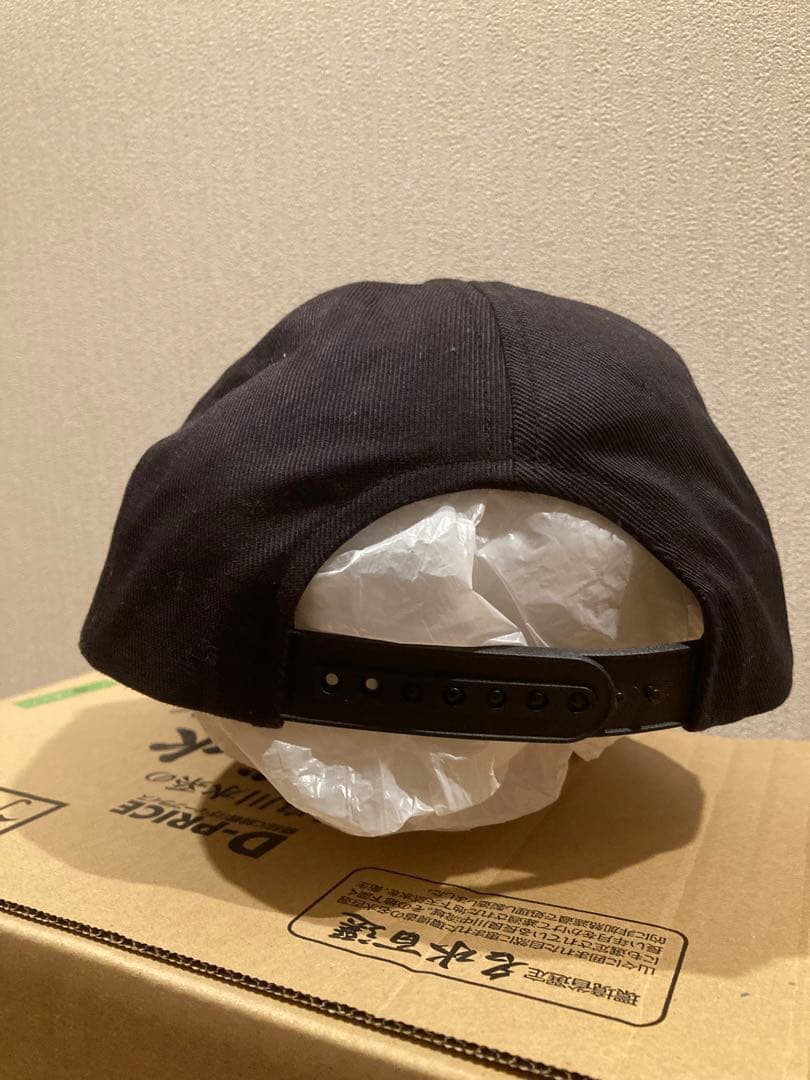 激レア　The Hit キャップ　サンテレビ　fishing