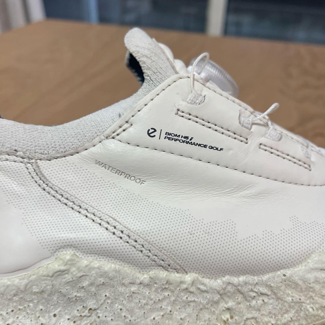 ★ECCO(エコー)Golf Biom H5 Hybrid 41★