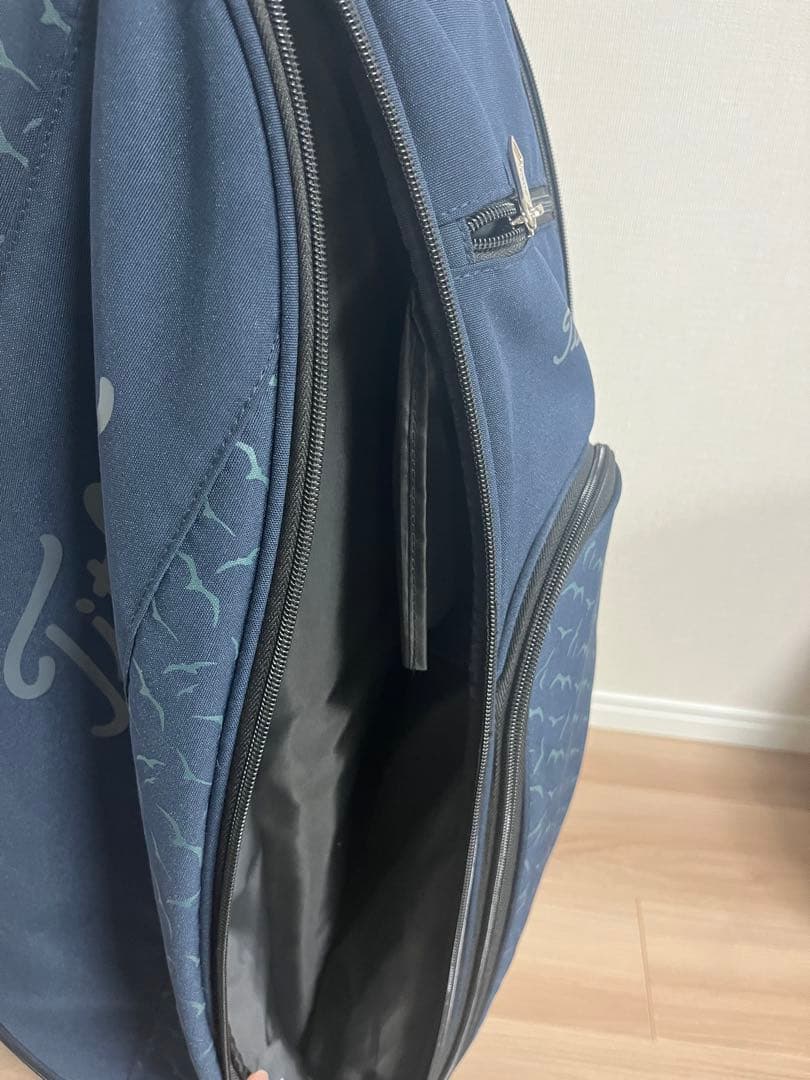 Titleistタイトリスト キャディバッグCB2SC