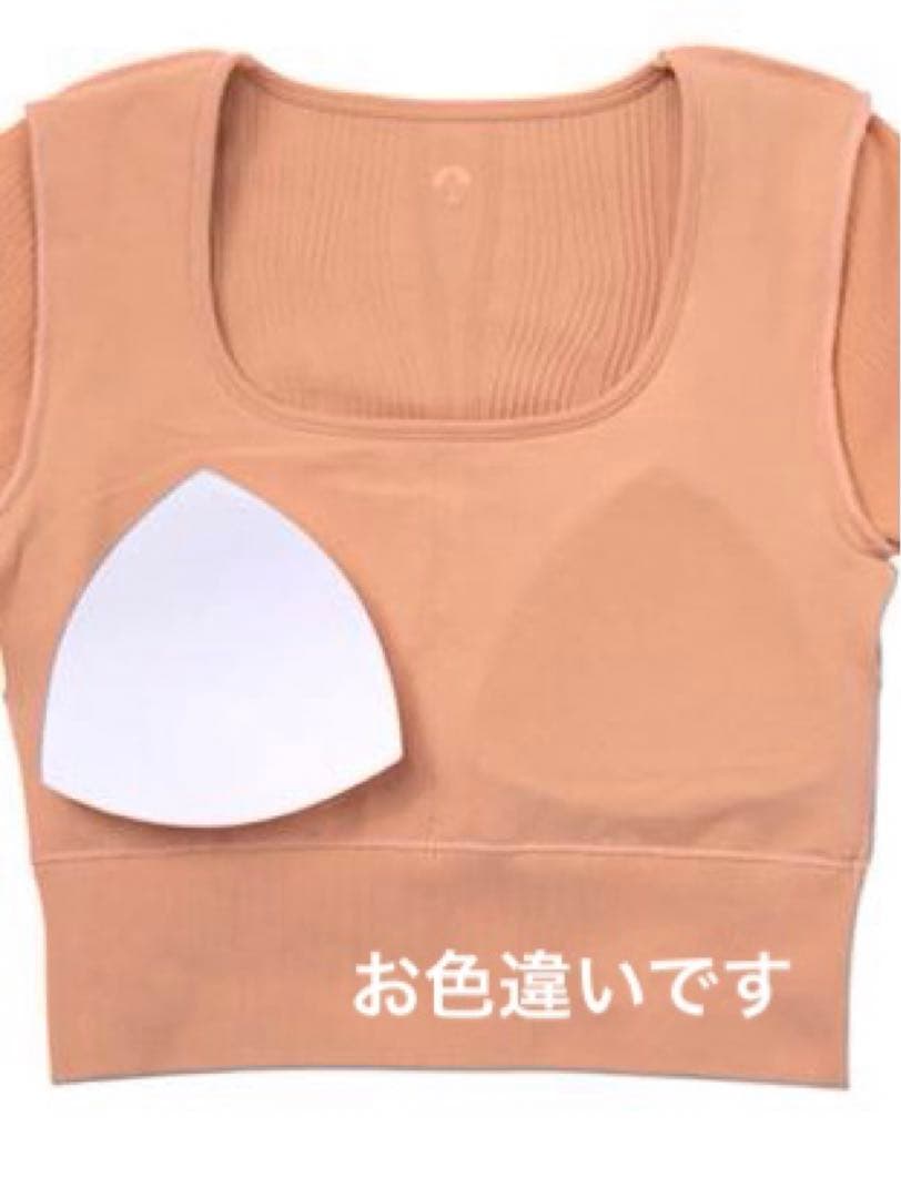 SUKALA ウェーブリブアクティブクロップドトップス　L