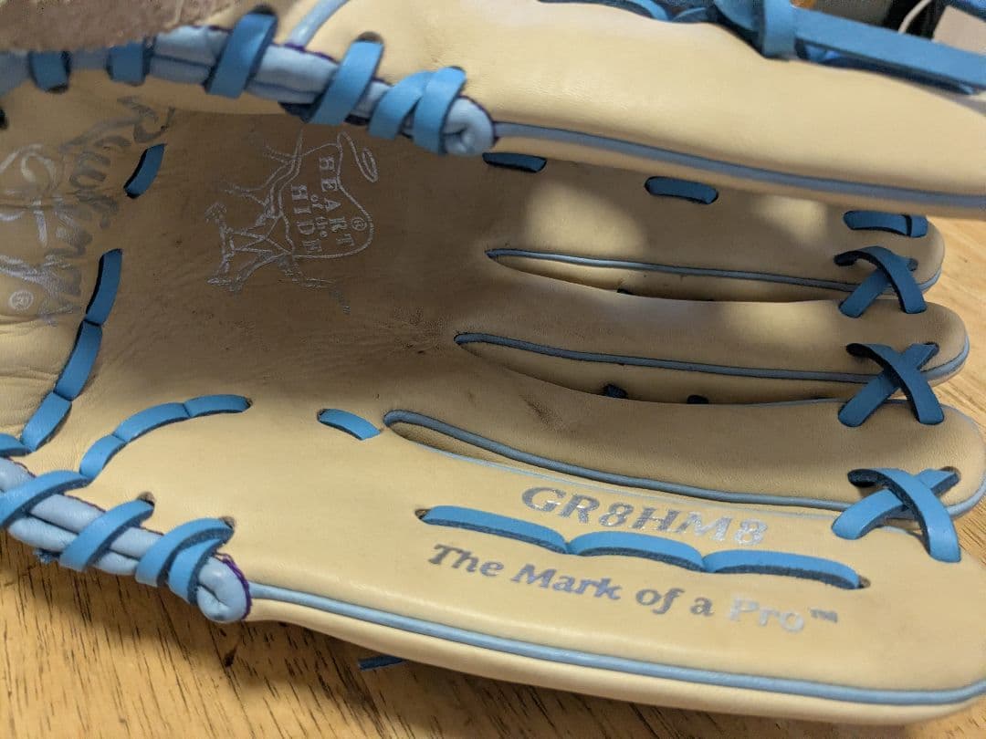 Rawlings Gold Glove 硬式グローブ