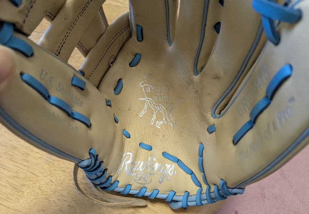 Rawlings Gold Glove 硬式グローブ