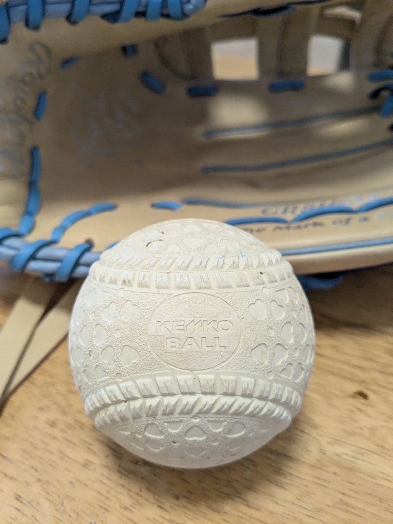 Rawlings Gold Glove 硬式グローブ