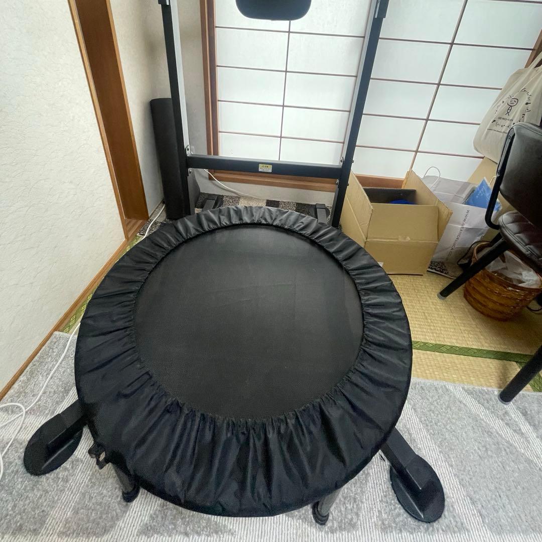 HAIGE ハイガー ぶら下がり健康器 懸垂マシン プラップバー