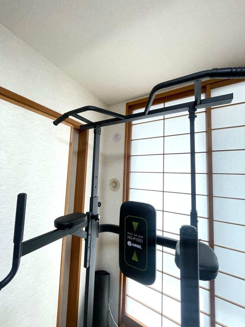 HAIGE ハイガー ぶら下がり健康器 懸垂マシン プラップバー