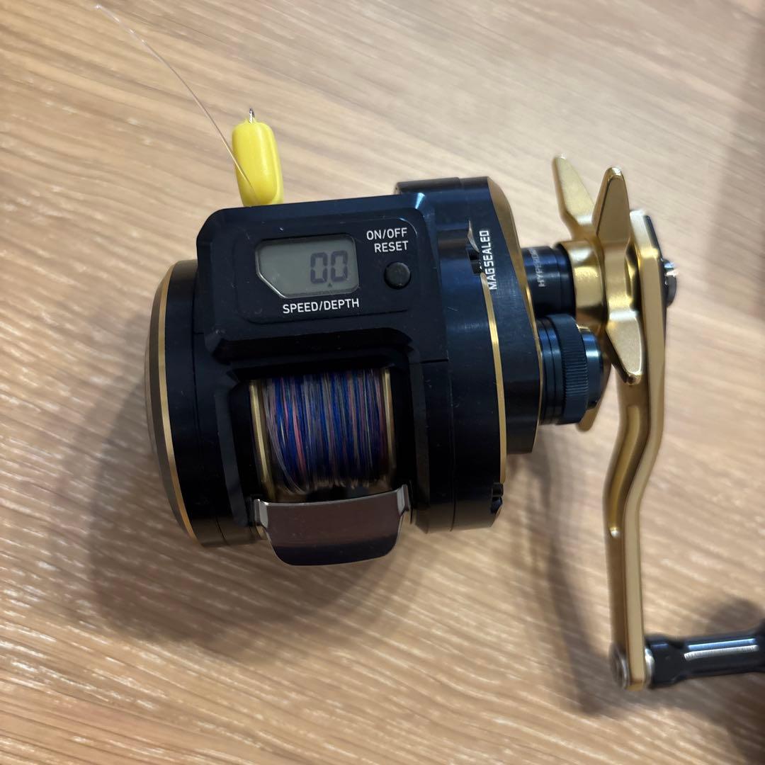 Daiwa SALDIGA IC 300 ベイトリール