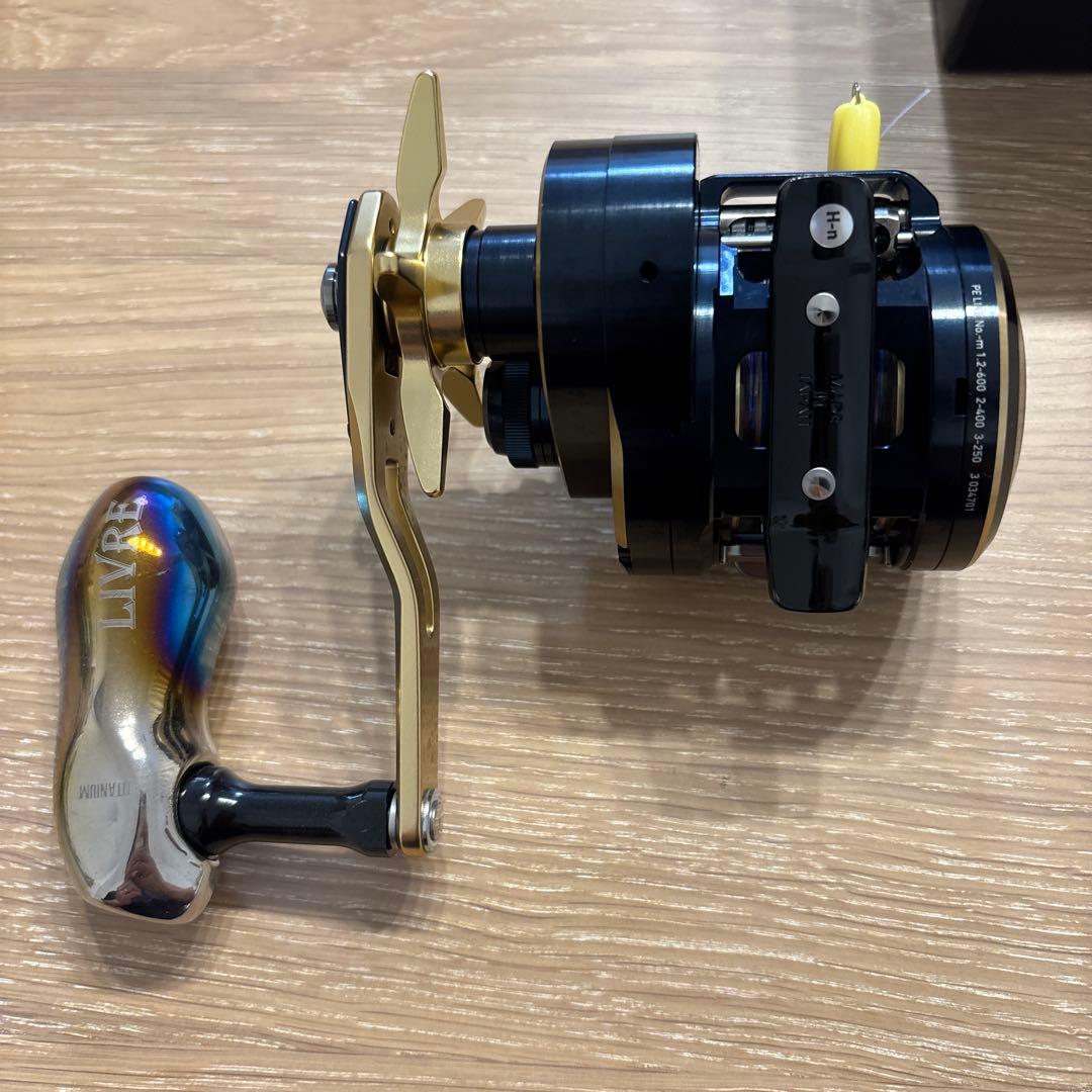 Daiwa SALDIGA IC 300 ベイトリール