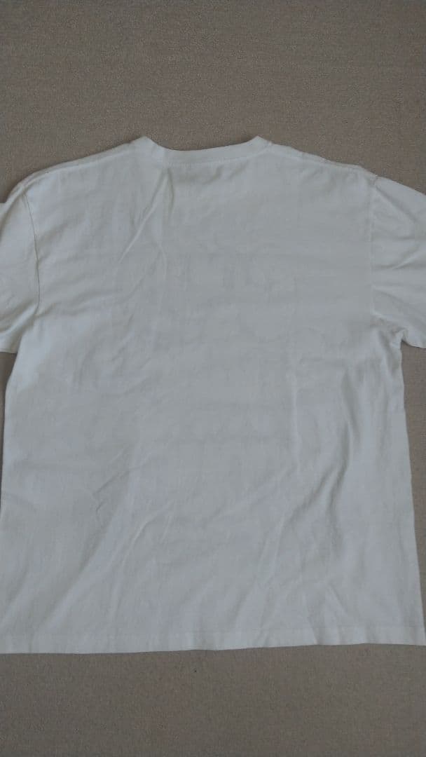 BADHOP COLD IN SUMMER TOUR 半袖Tシャツ YZERR