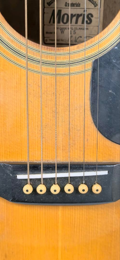 Morris W-15 アコースティックギター
