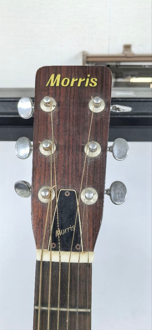 Morris W-15 アコースティックギター