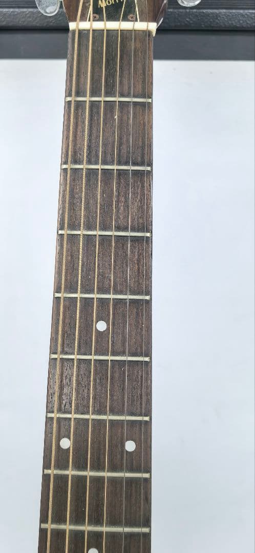 Morris W-15 アコースティックギター