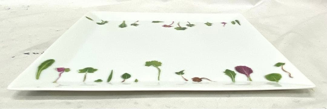 △ HERMES エルメス Mesclun メスクラン プレート 皿 正方形