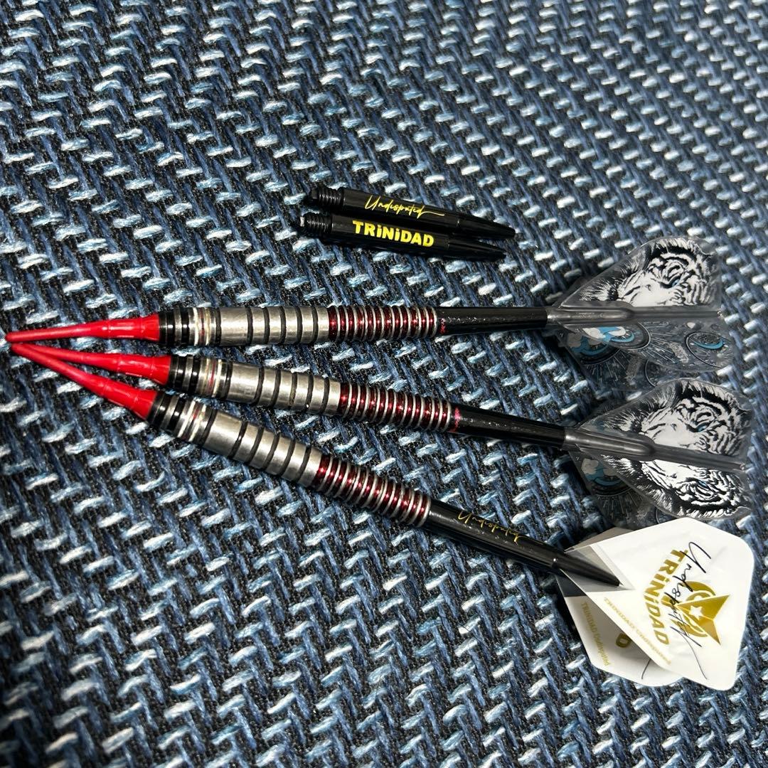 トリニダードアンディスピューテッド ゴメス15 2BA 22.6g 山田勇樹選手
