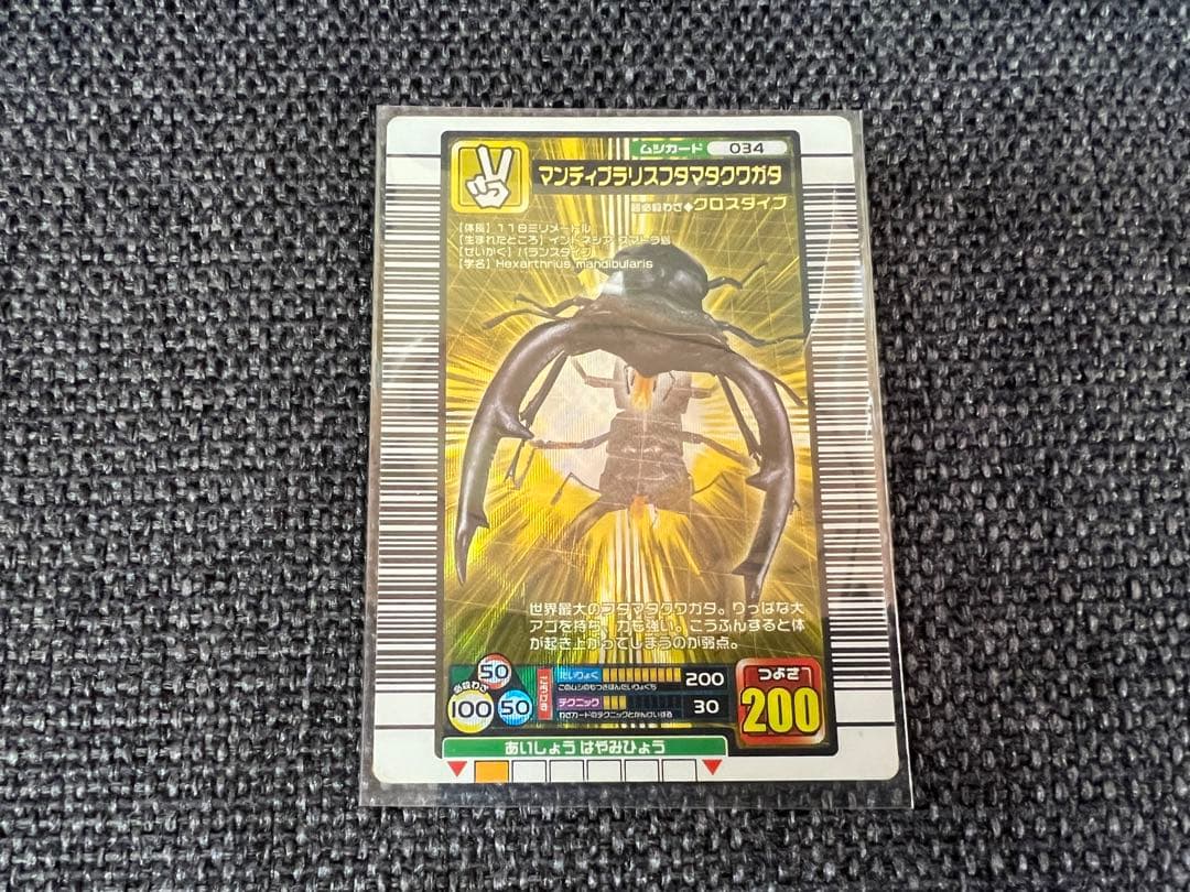 美品 2005年ファースト+ 金レア マンディブラリスフタマタクワガタ 034