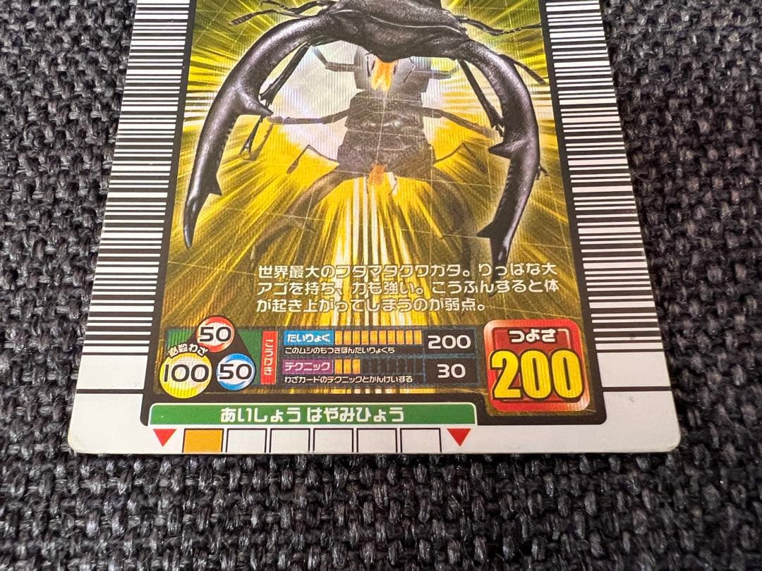 美品 2005年ファースト+ 金レア マンディブラリスフタマタクワガタ 034