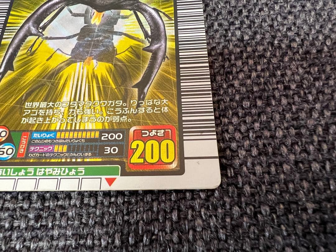美品 2005年ファースト+ 金レア マンディブラリスフタマタクワガタ 034