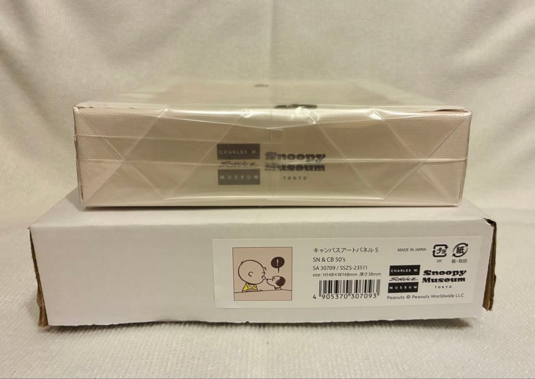 スヌーピーミュージアム☆スヌーピー&チャーリーブラウン☆キャンバスアートパネルS