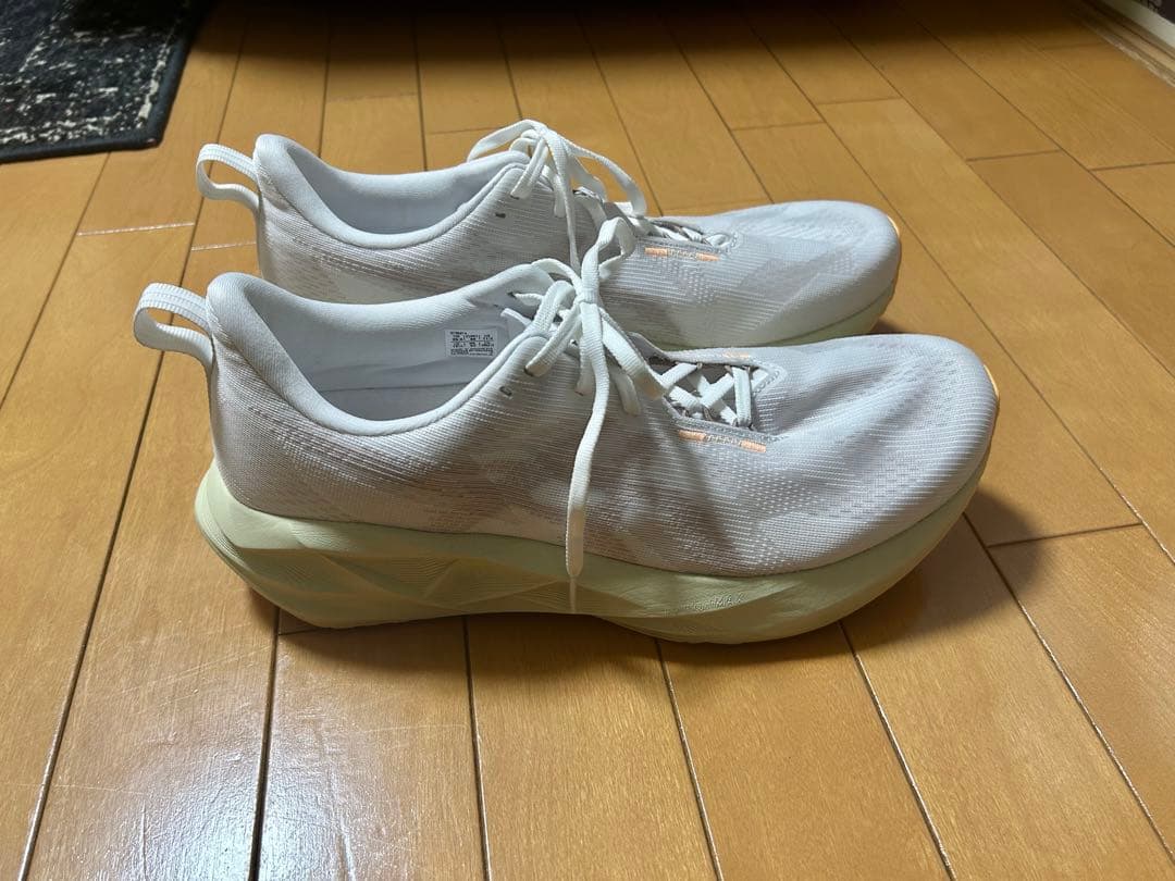 [極美品]ASICS NOVABLAST 5 ノヴァブラスト 5 29.0cm