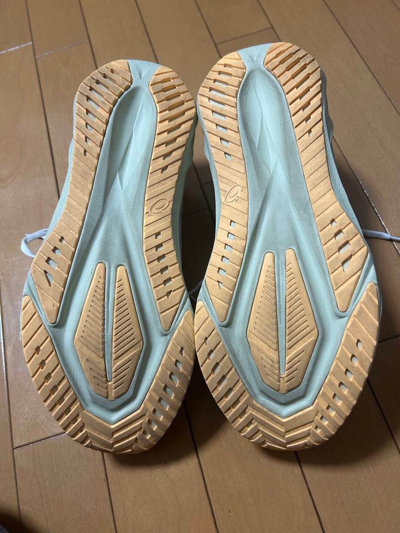 [極美品]ASICS NOVABLAST 5 ノヴァブラスト 5 29.0cm