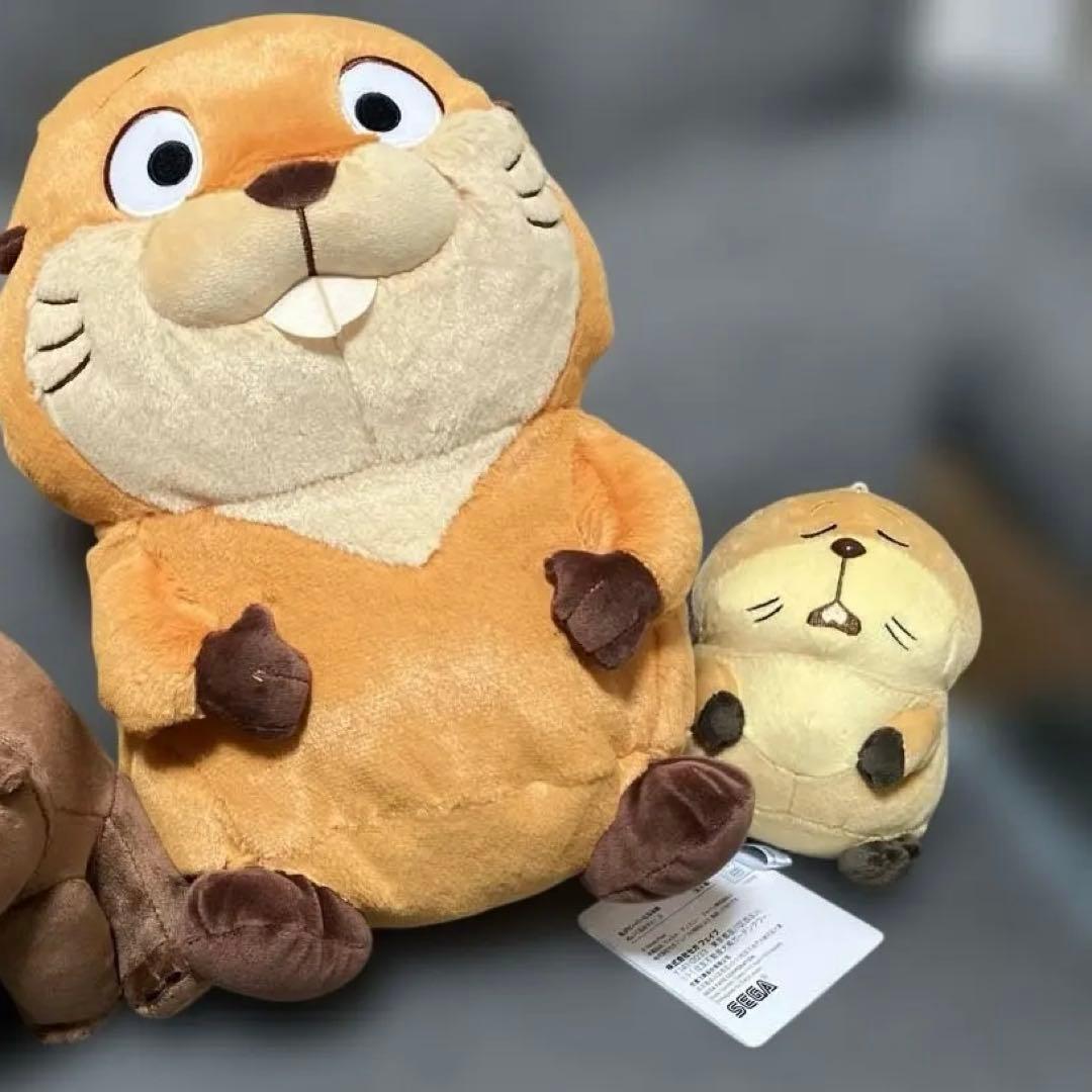 私がビーバーになる時 ローフ ぬいぐるみ ナムコ限定　三点セット