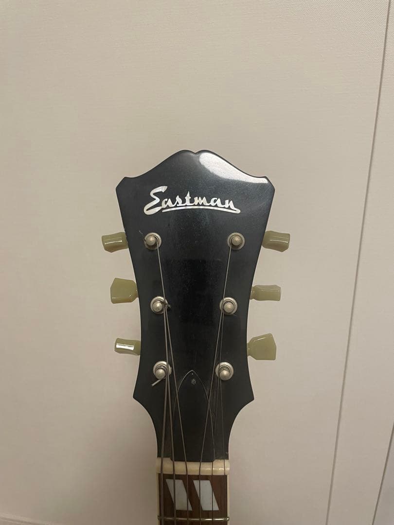 Eastman AR-175CE フルアコースティックギター　ハードケース付属