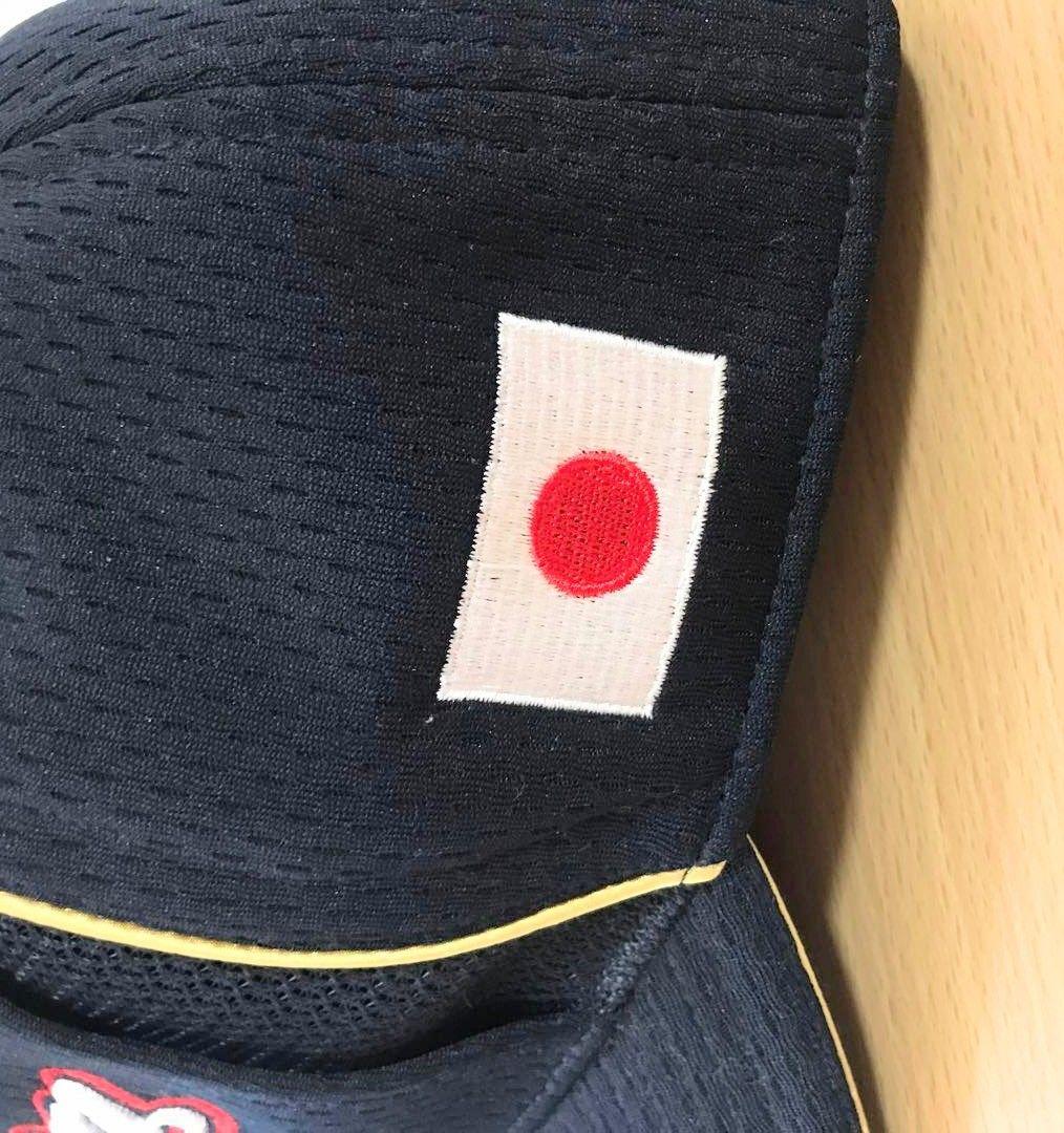 MIZUNOPRO ジャパン 日本代表 ミズノプロ JAPAN プロコレクション