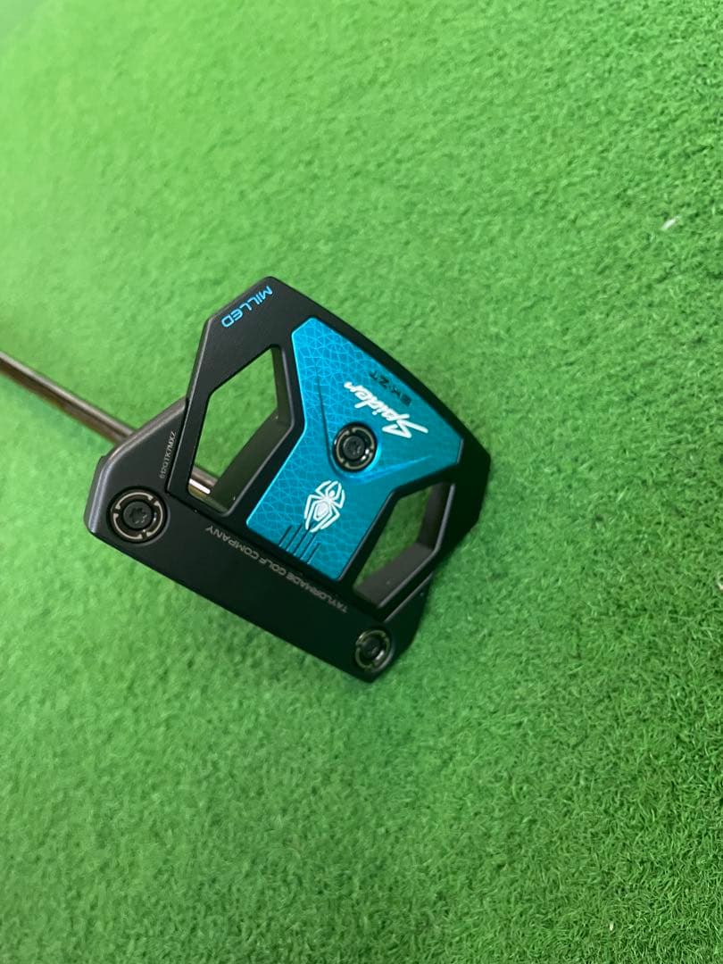 テーラーメイドスパイダーZT ブラックパター
