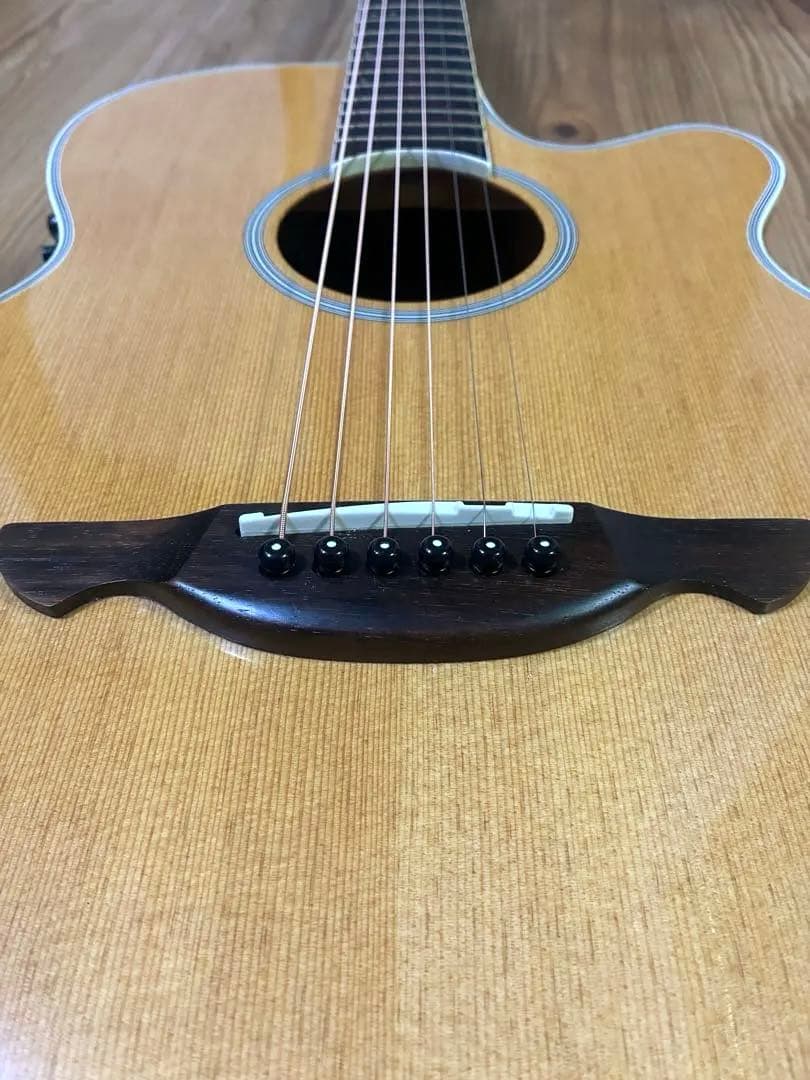 James JE450/NTA ケース付き エレアコ