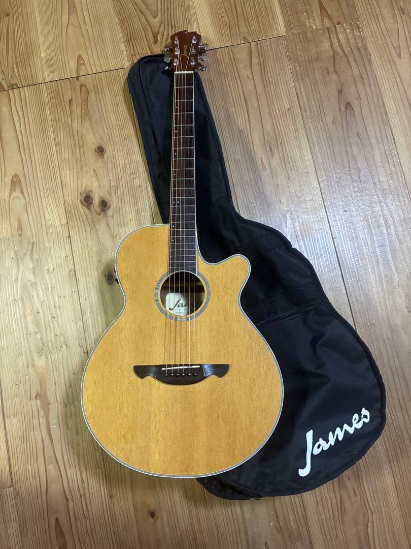 James JE450/NTA ケース付き エレアコ