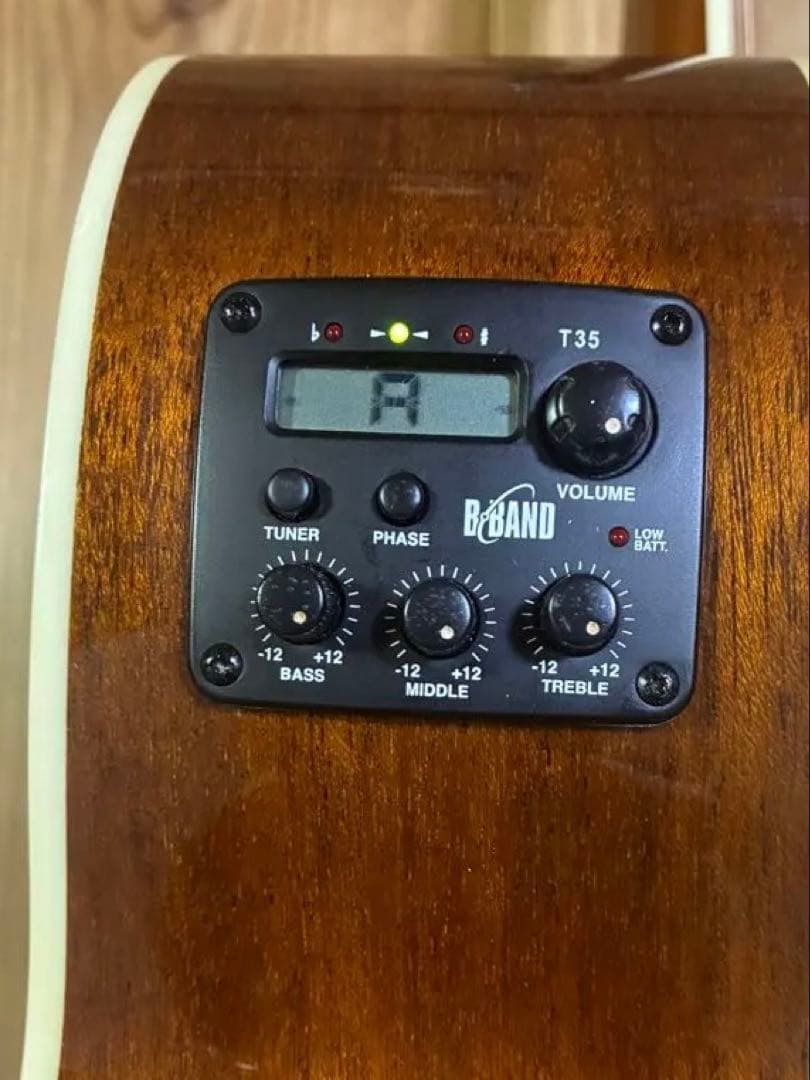 James JE450/NTA ケース付き エレアコ