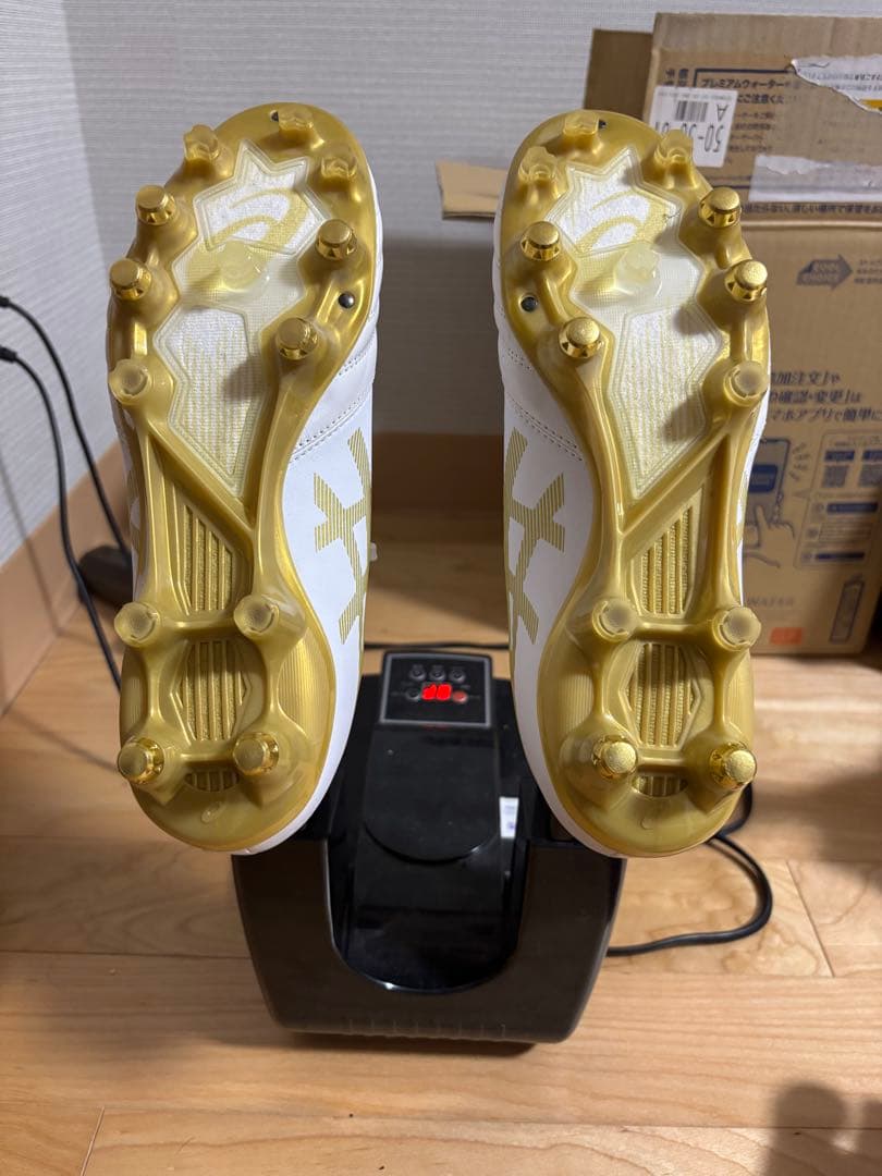 ASICS DSライトx-flypro